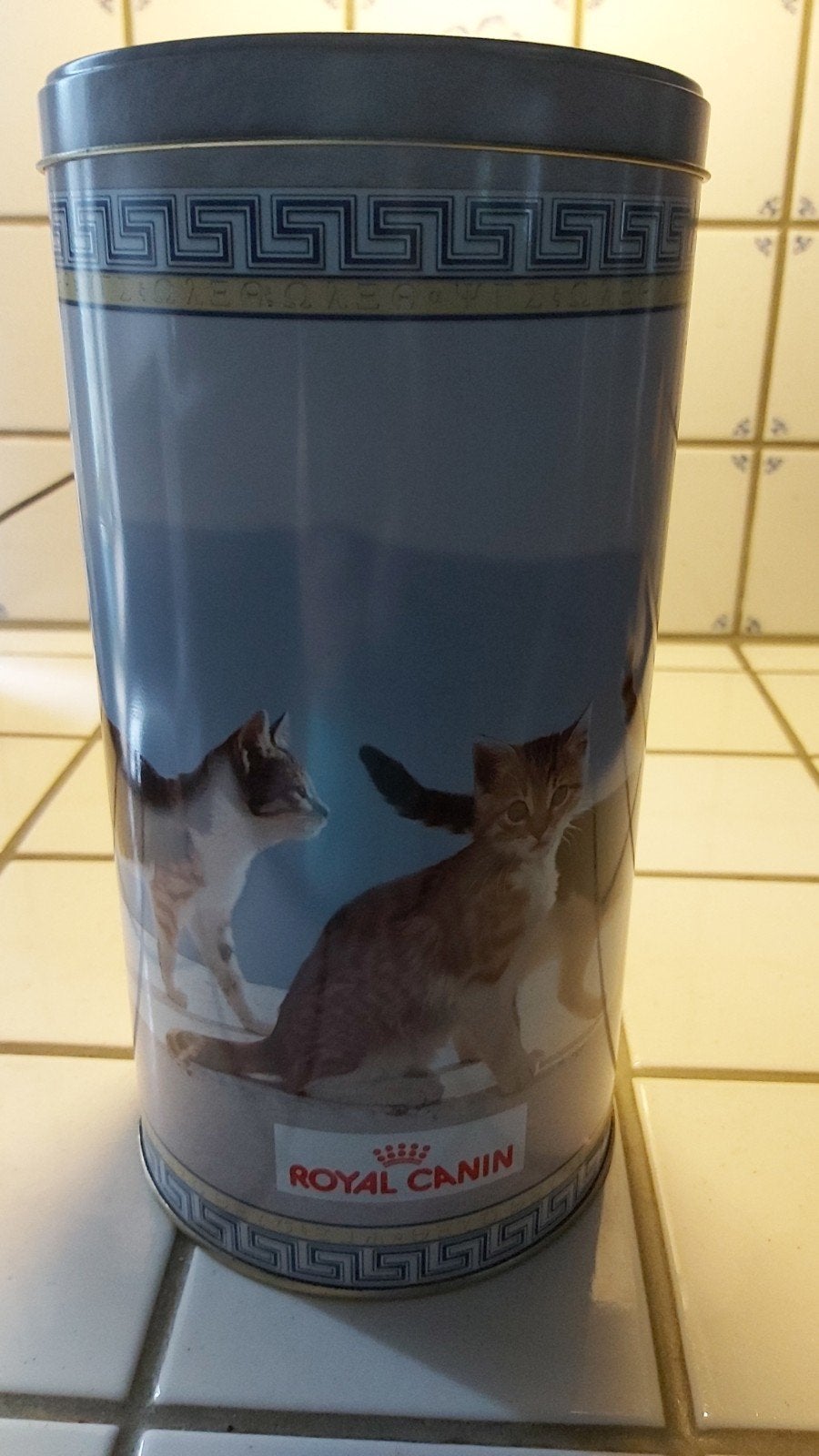 Ijzeren poezendoos royal canin, Enlèvement