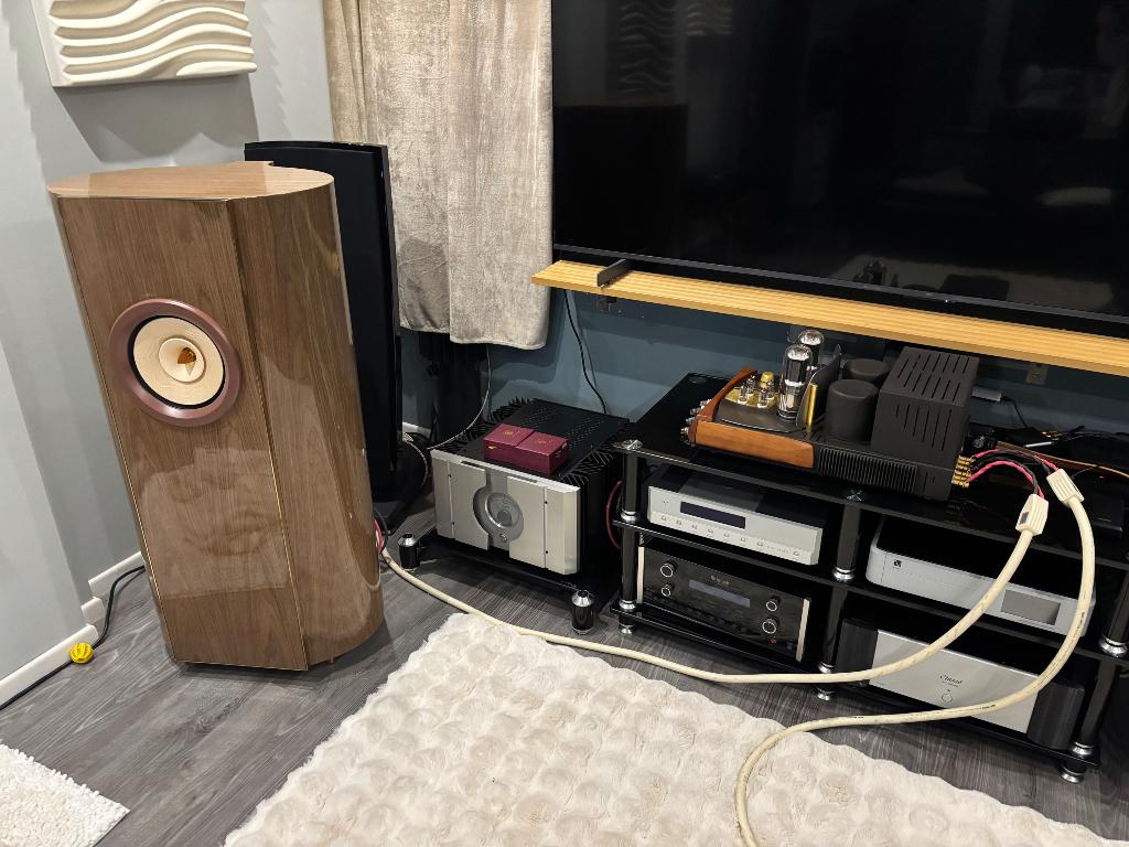 Lii Song silver 10 evo, Ophalen