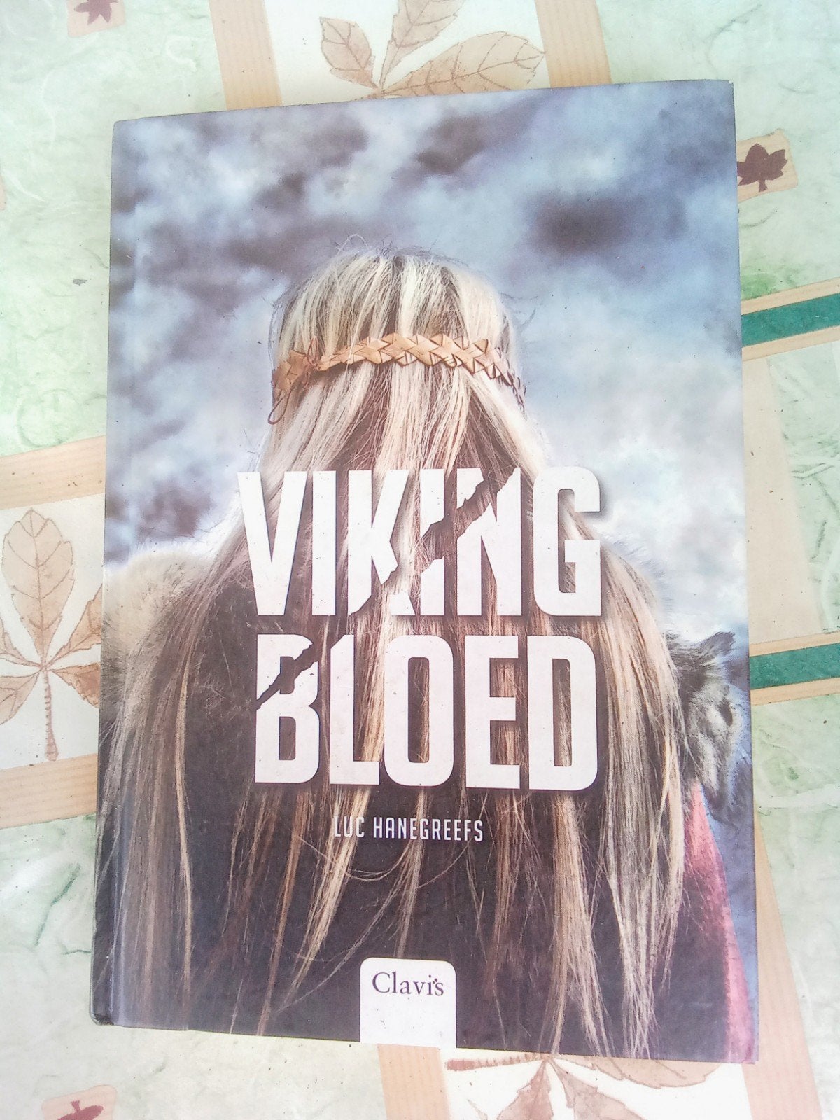 leesboek Vikingbloed (Luc Hanegreefs), Ophalen of Verzenden