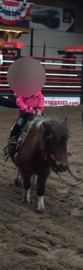 Gezocht bij rijd paard/verzorg paard, Ophalen, Dressuur