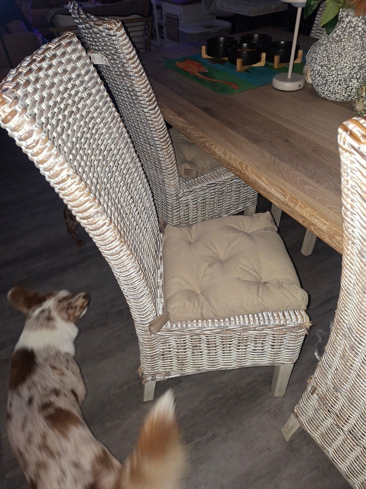 Rotan stoelen, Enlèvement