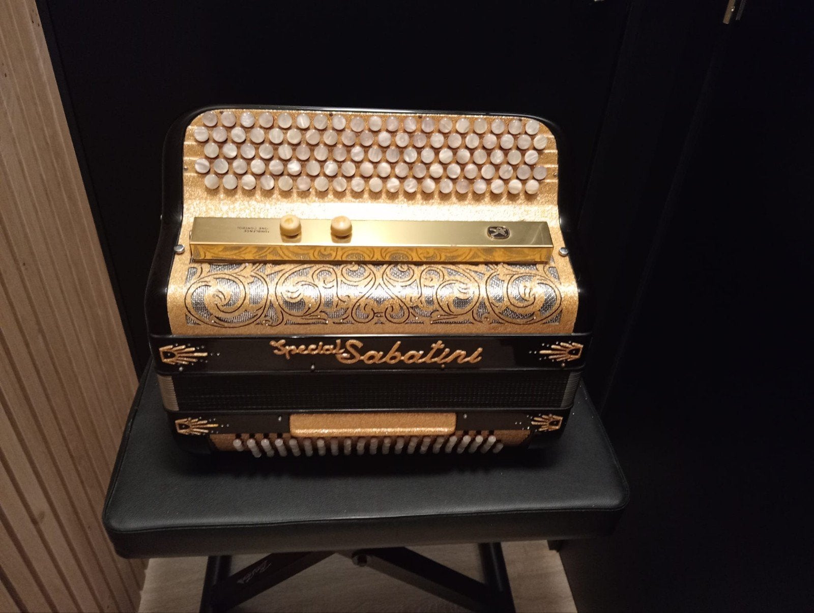 accordéon spécial Sabatini Do 2, Musique & Instruments, Accordéons, Autres marques, Comme neuf, Enlèvement, Avec bretelles