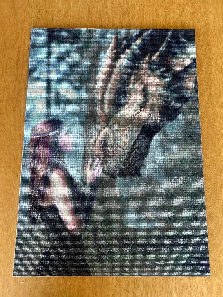 Diamond painting vrouw met draak, Ophalen, Zo goed als nieuw