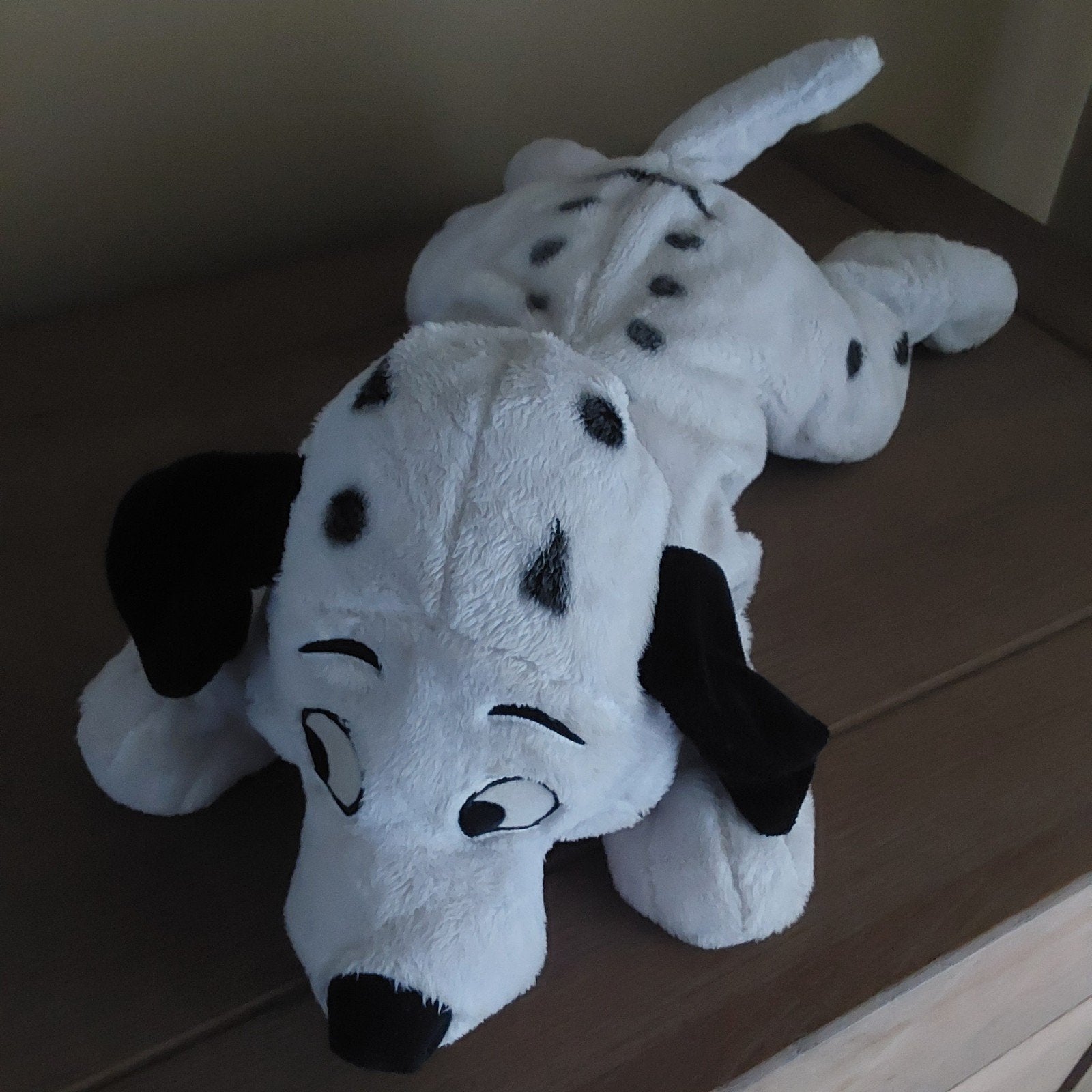 grot dalmatier, Ophalen of Verzenden