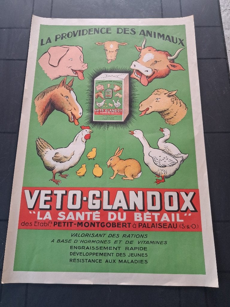 oude affiche VETO GLANDOX.., Ophalen of Verzenden, Zo goed als nieuw, Overige typen