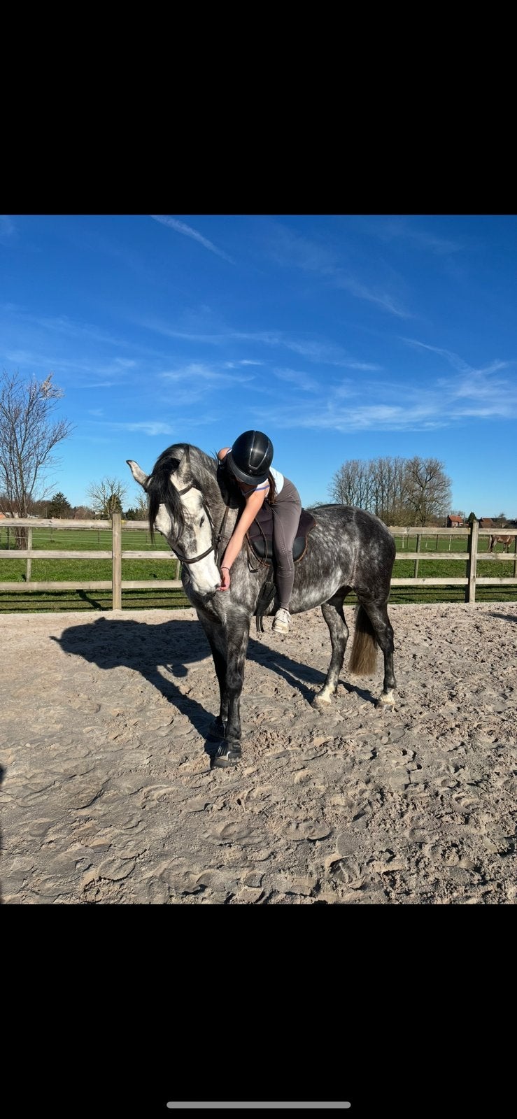 Lief paard gezocht, Ophalen