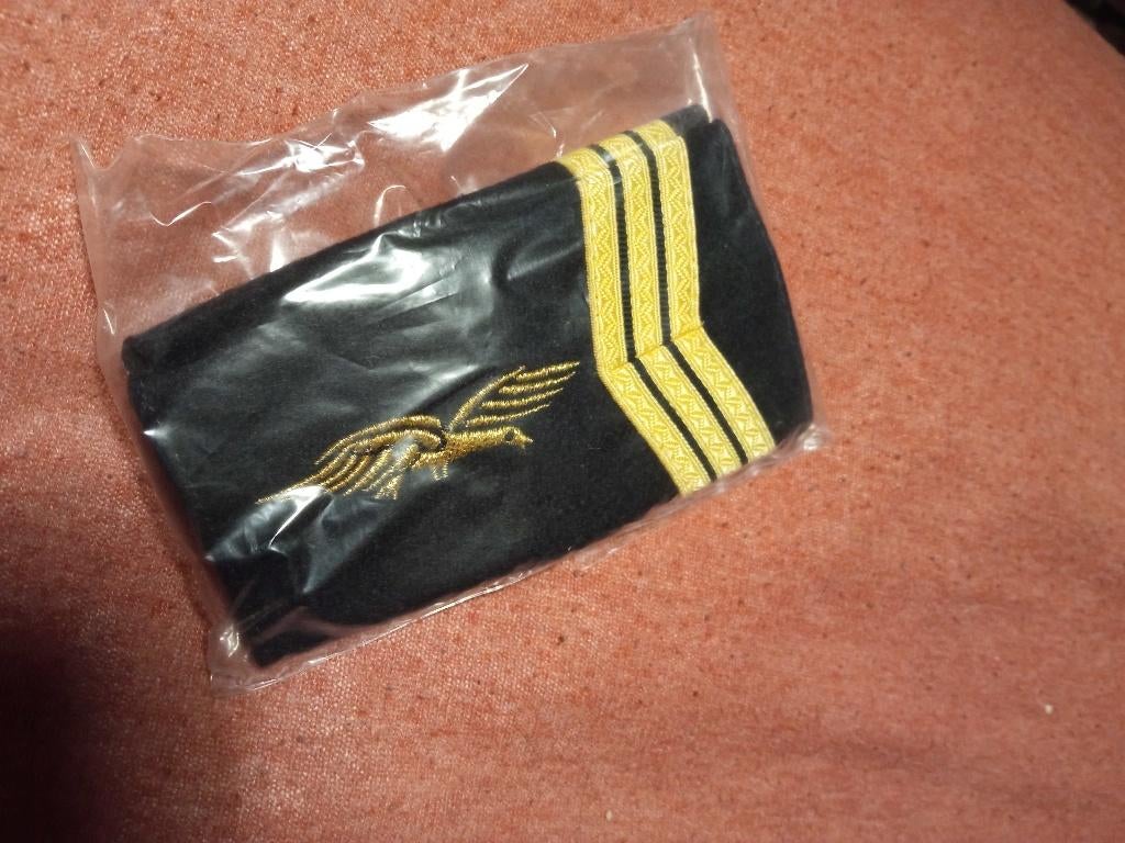 Militaria Armée Française Grade Sergent AAE, Envoi, Armée de l'air, Ruban, Médaille ou Ailes
