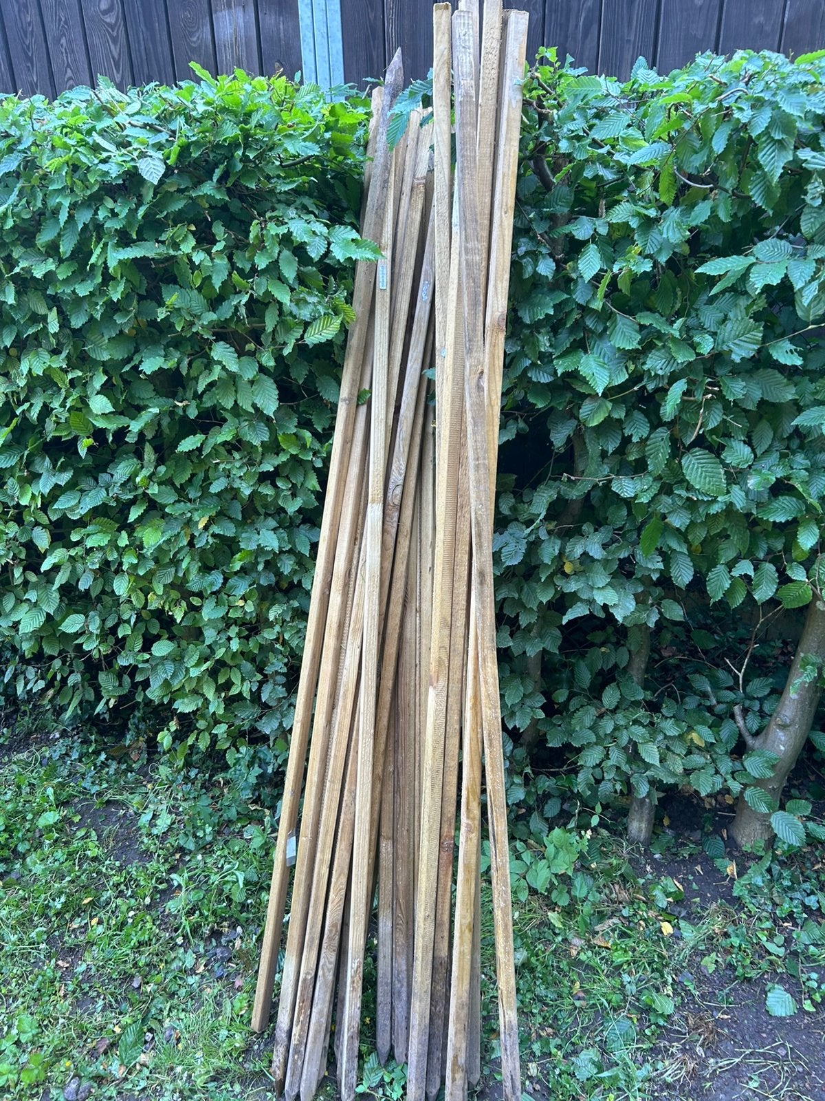 Tuteur pour potager ( tomates ou autres), Enlèvement, Utilisé, Autres types