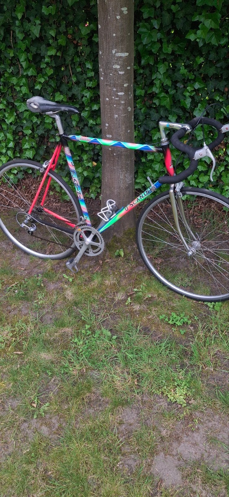 Koersfiets scanni, Ophalen