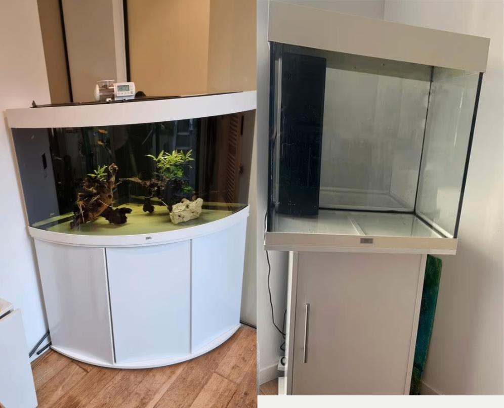2 Aquarium complets 350l trigon fluval fx4 +100l Juwel., Dieren en Toebehoren, Ophalen, Gebruikt, Gevuld zoetwateraquarium