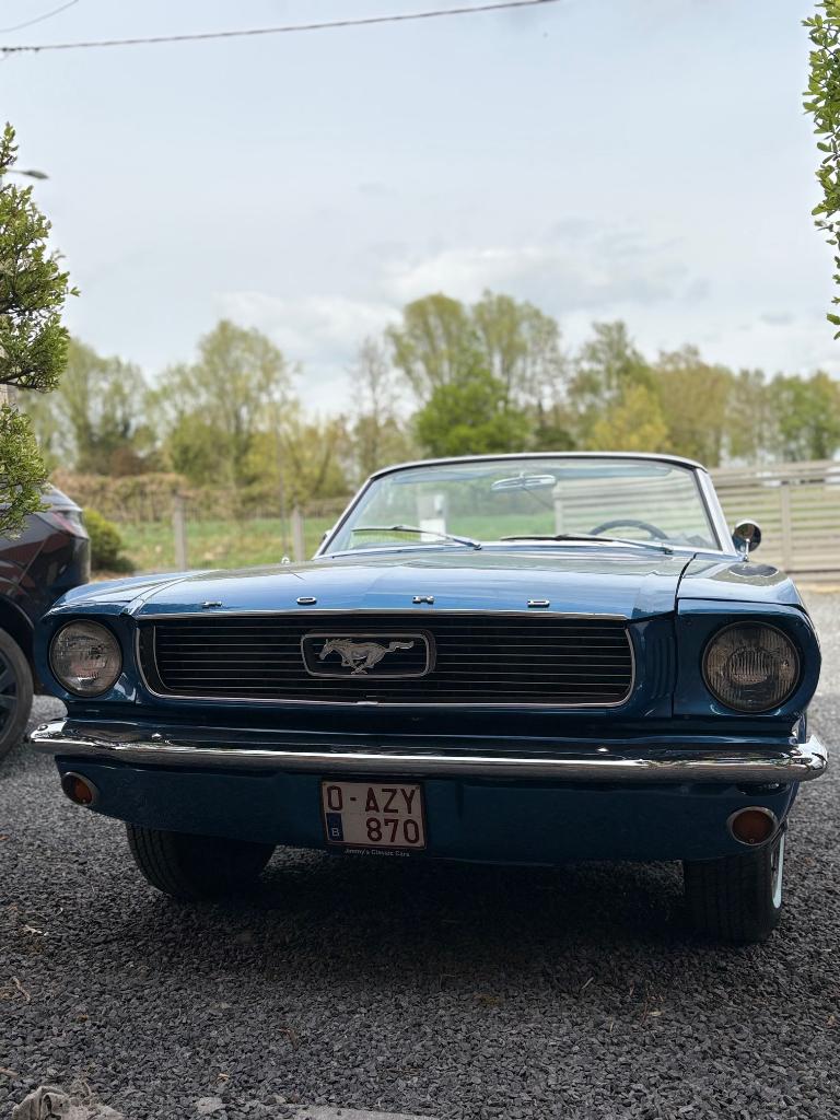 Ford mustang 1966 cabriolet, Autos, Achat, Cabriolet, Particulier, Mustang