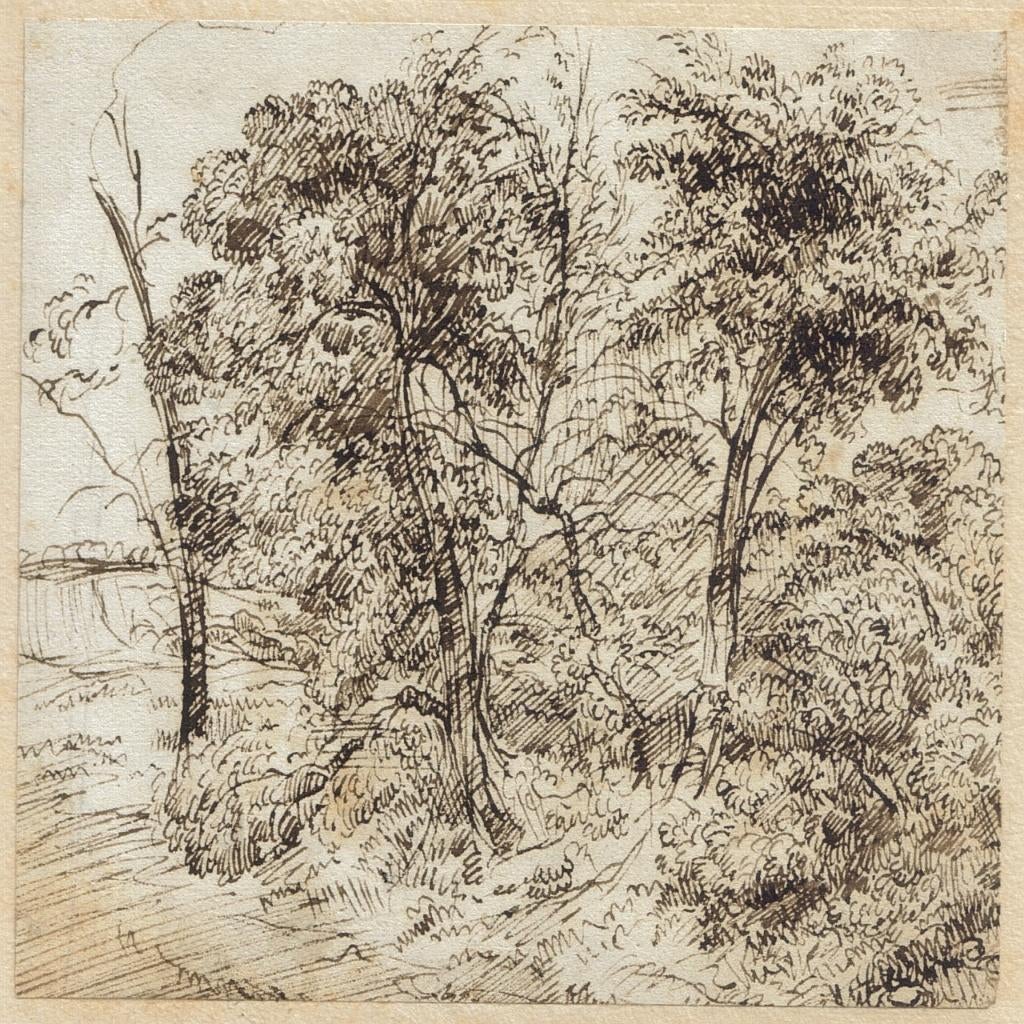 Onleesbare Signatuur pentekening "Capruso-(Bomen-Landschap)", Antiek en Kunst, Ophalen