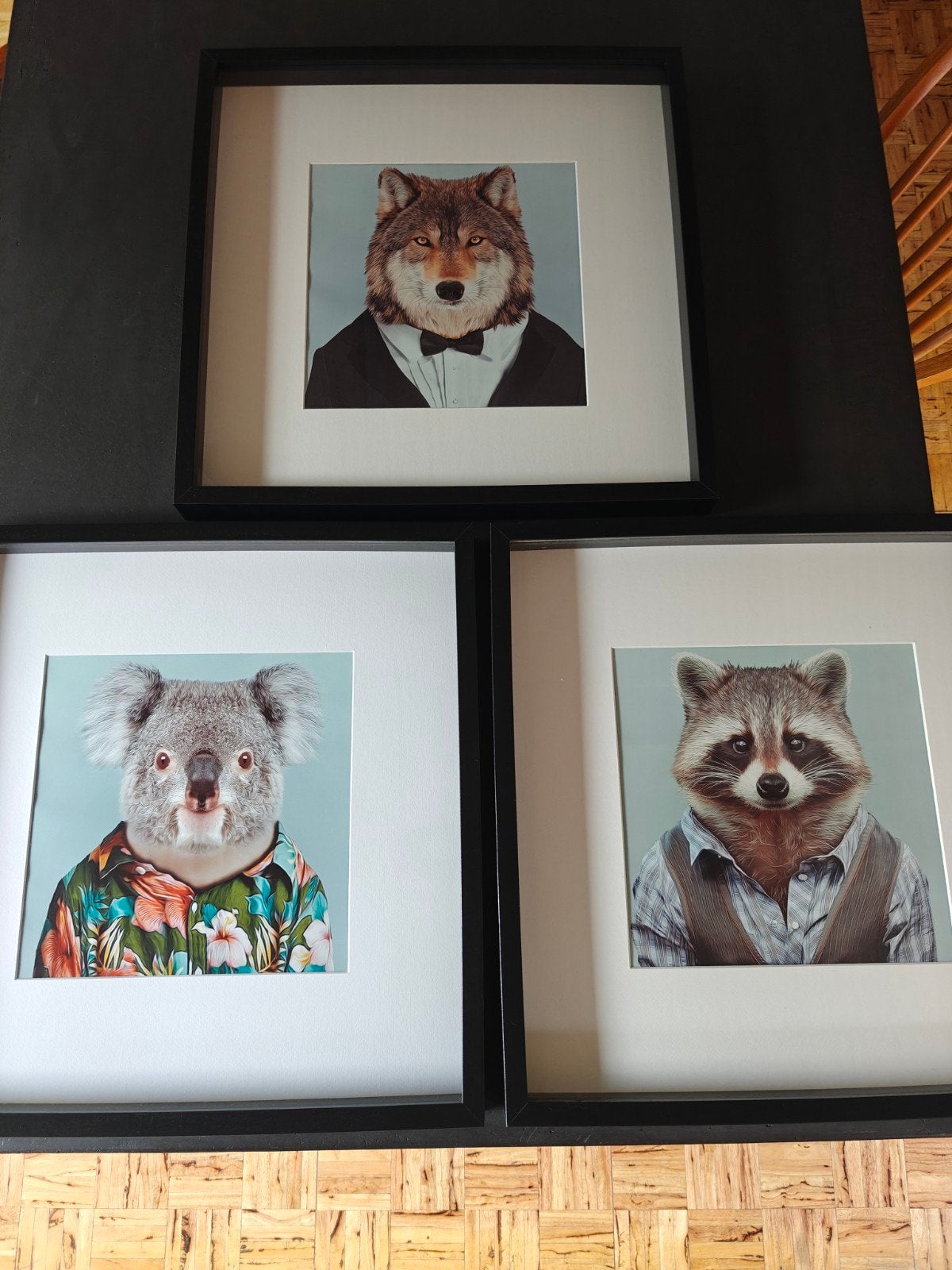 Set van 3 Zooportraits Dierenportretten in Zwarte Kader, Maison & Meubles, Accessoires pour la Maison | Cadres, Enlèvement