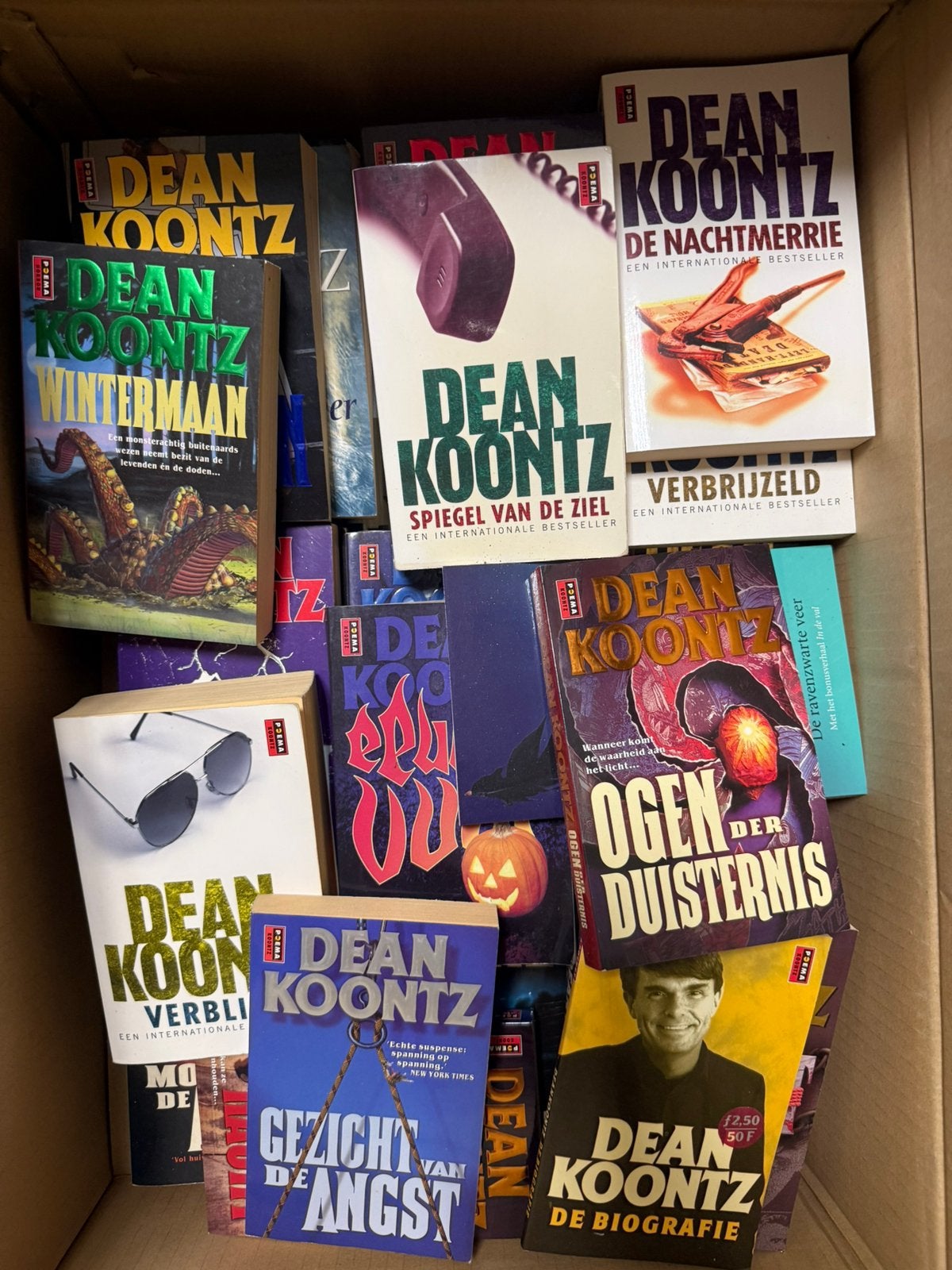 Dean Koontz boeken, Ophalen, Gelezen