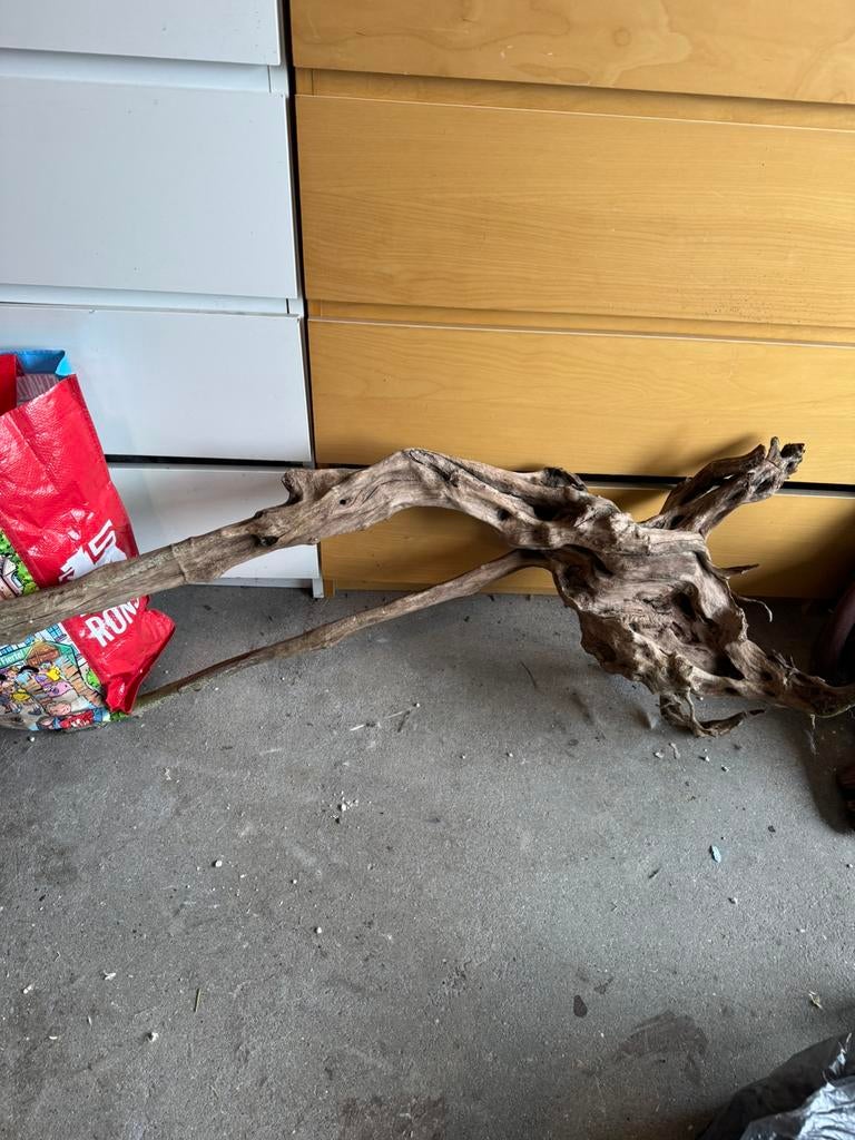 Spiderwood 135cm prachtig stuk., Dieren en Toebehoren, Ophalen, Zo goed als nieuw