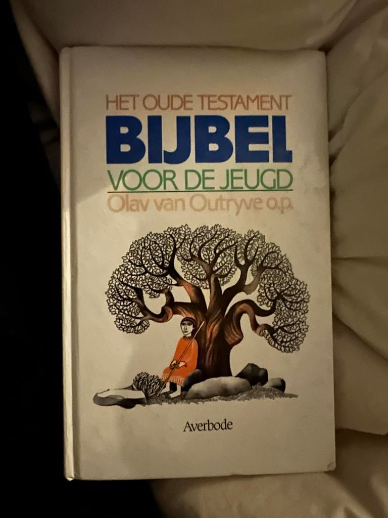 Bijbel: Het oude testament voor de jeugd, Enlèvement, Utilisé, Religion et Philosophie