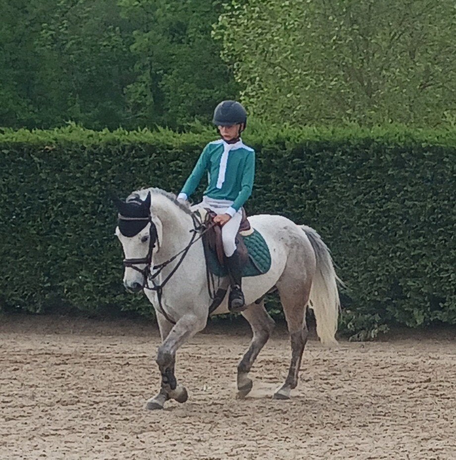 Chique 7 jarige pony