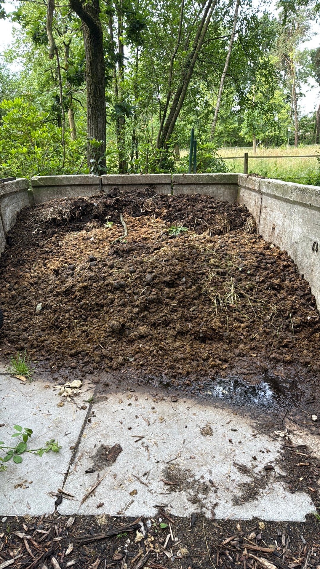 Gratis pure paardenmest, Jardin & Terrasse, Terre & Fumier, Enlèvement, Fumier