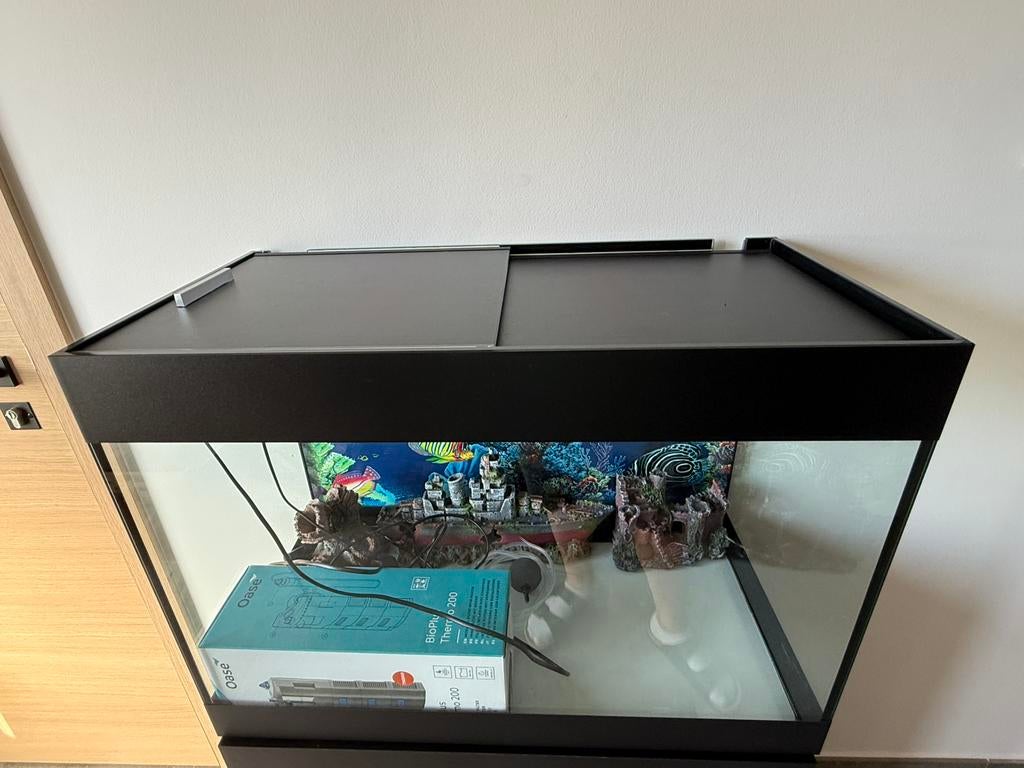 Aquarium, Ophalen, Nieuw