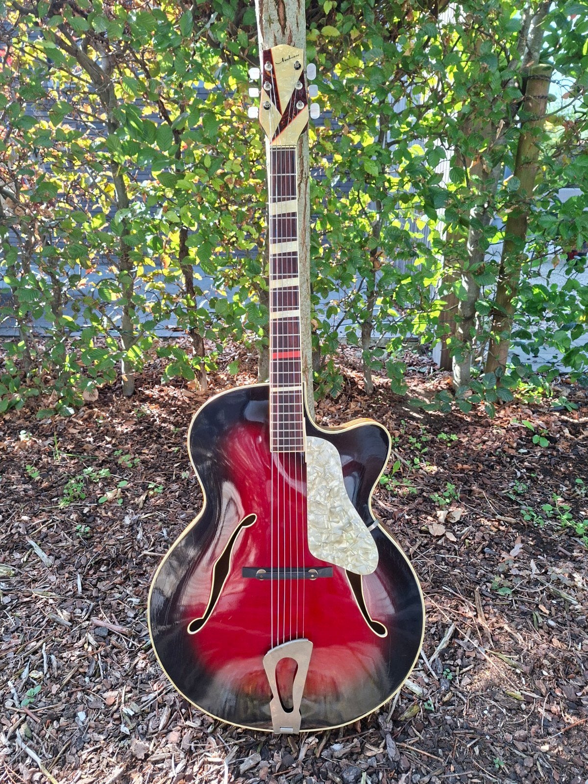Helmut Neubauer vintage archtop – Germany – zeldzame jazzgit, Muziek en Instrumenten, Ophalen of Verzenden