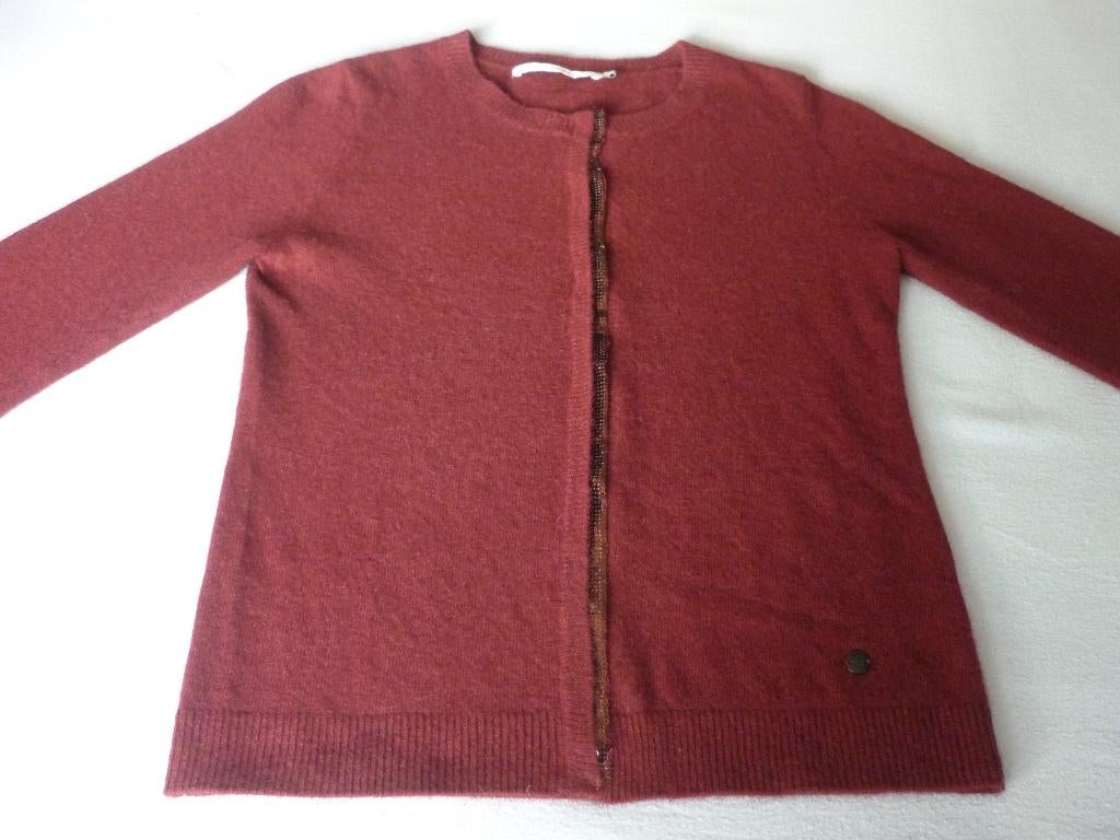 Angora-Nylon Vest met Pailletten Xandres, Kleding | Dames, Ophalen of Verzenden, Zo goed als nieuw, Maat 34 (XS) of kleiner, Xandres