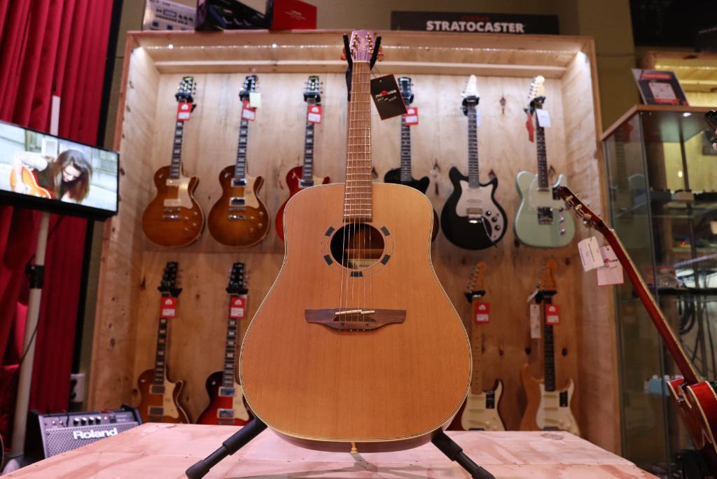 Takamine N10 Tweedehands Akoestische Gitaar, Ophalen, Western- of Steelstringgitaar, Met koffer