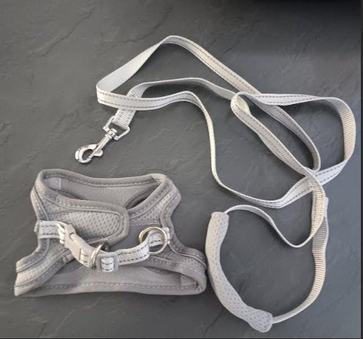Ensemble harnais & laisse pour chat/chien XXS Neuf, Animaux & Accessoires, Enlèvement ou Envoi, Neuf, Laisse pour chien