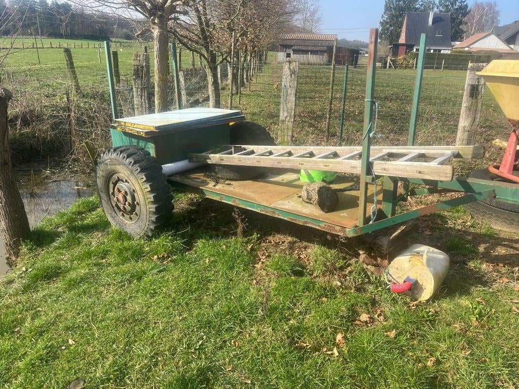 Boskat te koop, Ophalen, Transport
