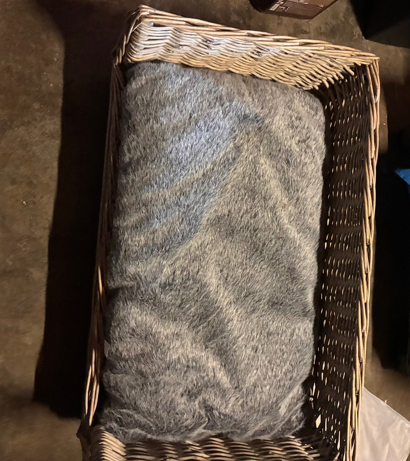 Hondenbed met kussen, Animaux & Accessoires, Paniers pour chiens, Enlèvement, Comme neuf