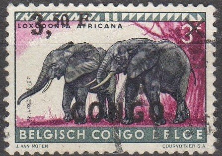 Belgisch Congo - Afrikaanse olifanten - 1922, Ophalen of Verzenden, Gestempeld