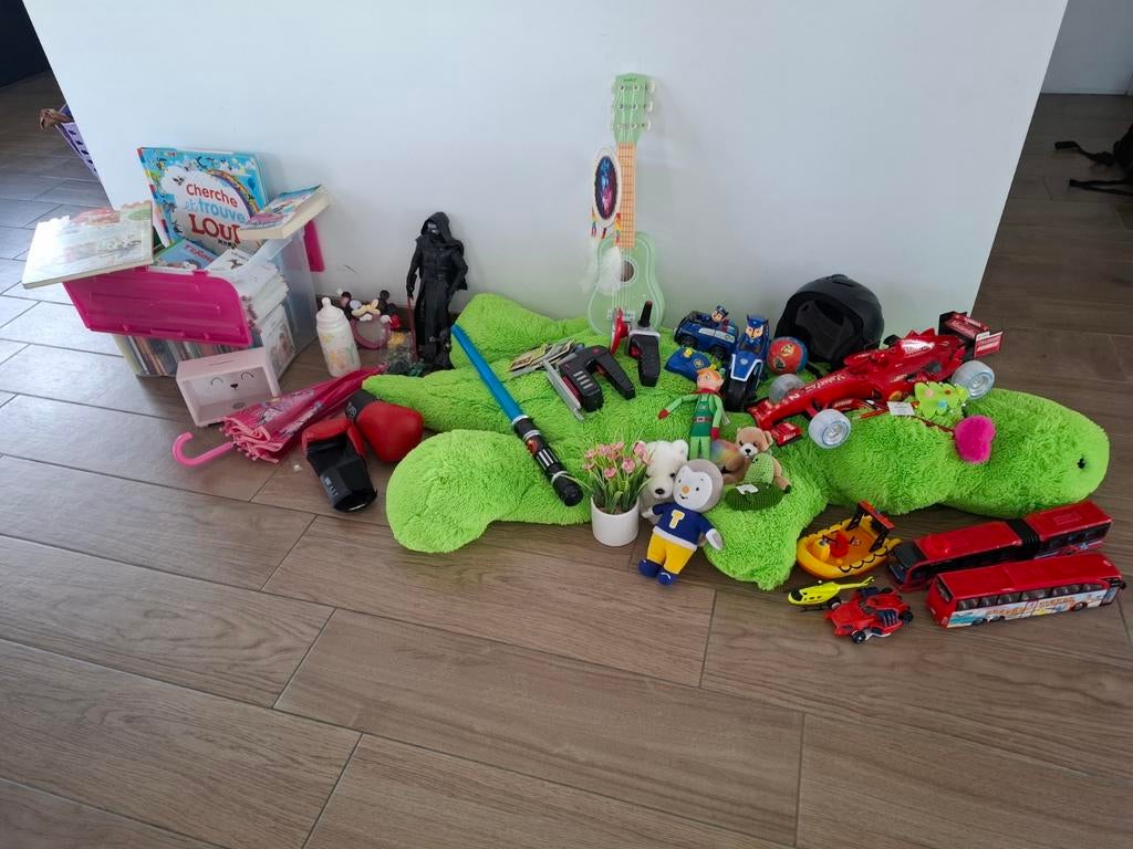 Lot jouets/livres/vetements/objet déco, Enlèvement