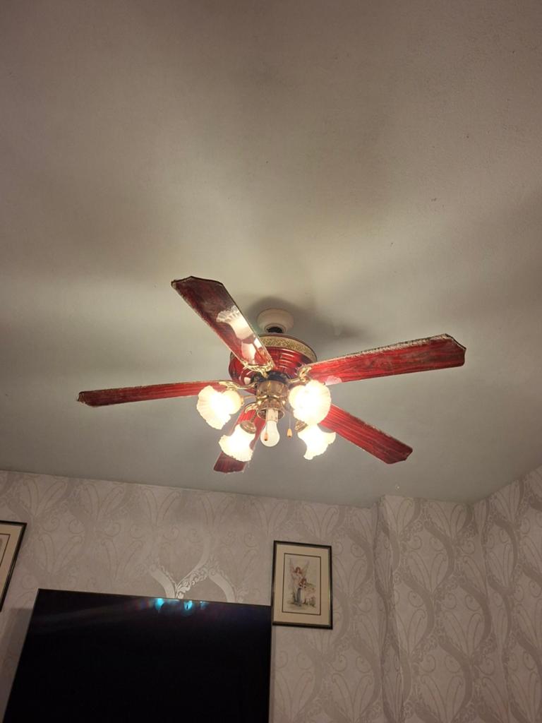Plafond ventilator, Enlèvement