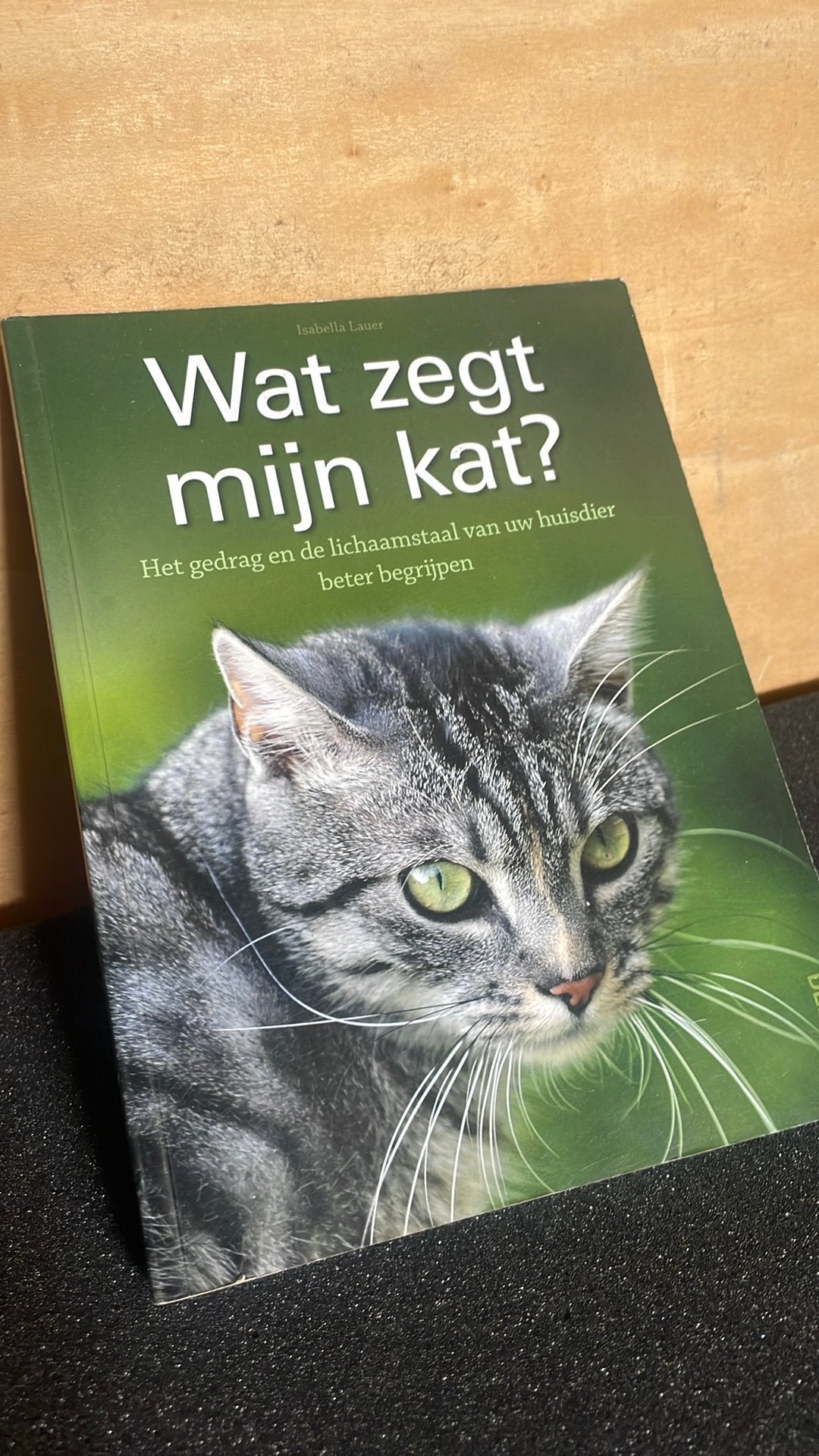 Isabella Lauer - Wat zegt mijn kat?, Livres, Animaux & Animaux domestiques, Enlèvement ou Envoi, Chats, Isabella Lauer