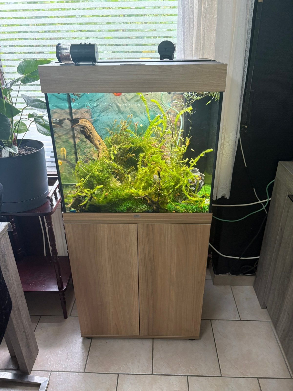 Aquarium Juwel Lido 120, Enlèvement, Pompe, Comme neuf, Juwel
