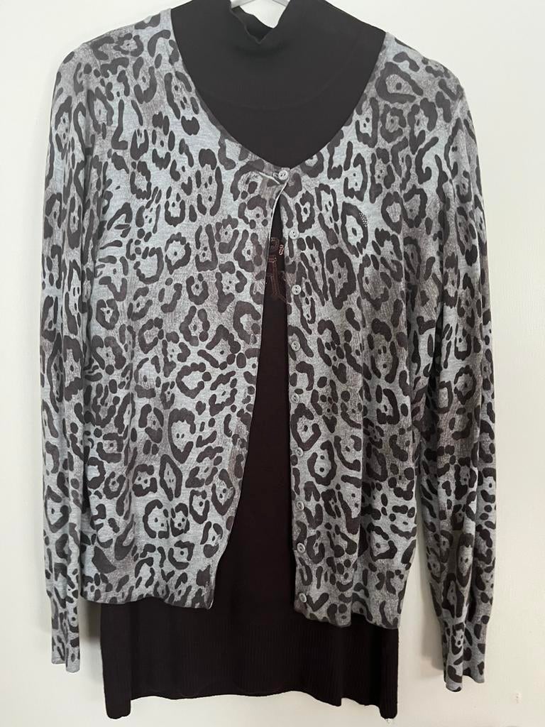 Twinset bloesje dn gilet van Guess kleur bruin -grijs, Kleding | Dames, Truien en Vesten, Ophalen of Verzenden, Zo goed als nieuw