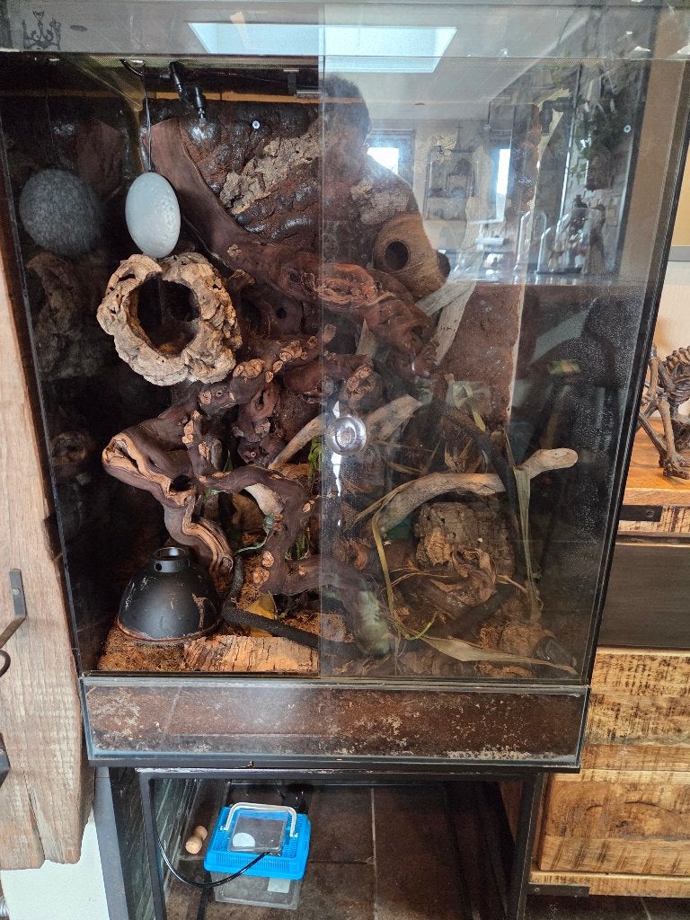 Terrarium 60 50 80 de haut ecoute toute proposition, Animaux & Accessoires, Enlèvement, Utilisé