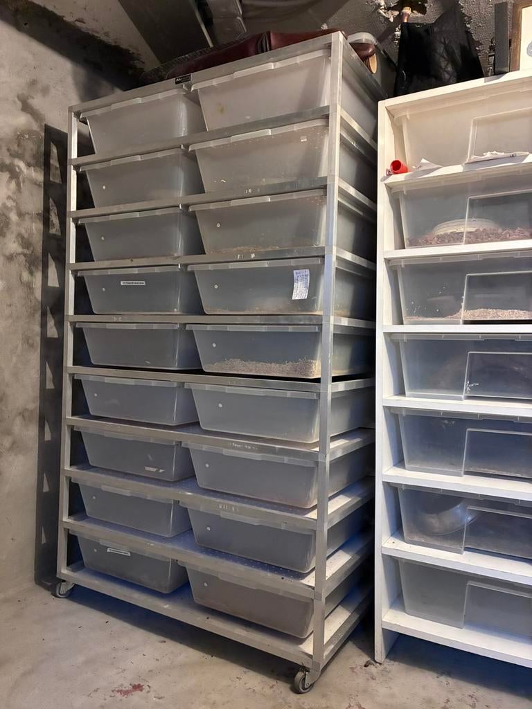 AluRack V70, Dieren en Toebehoren, Ophalen, Zo goed als nieuw, Terrarium of Paludarium