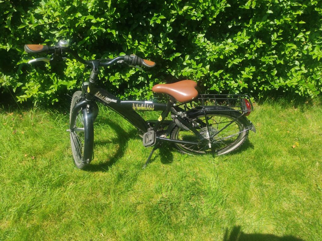 Bike fun kids urban 20inch, Ophalen, Versnellingen