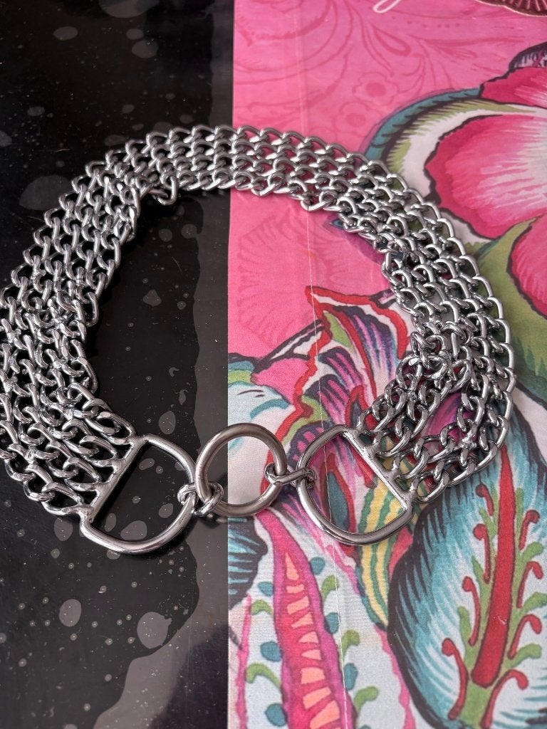 Beau collier chien chaîne, Ophalen of Verzenden, Zo goed als nieuw, Halsband