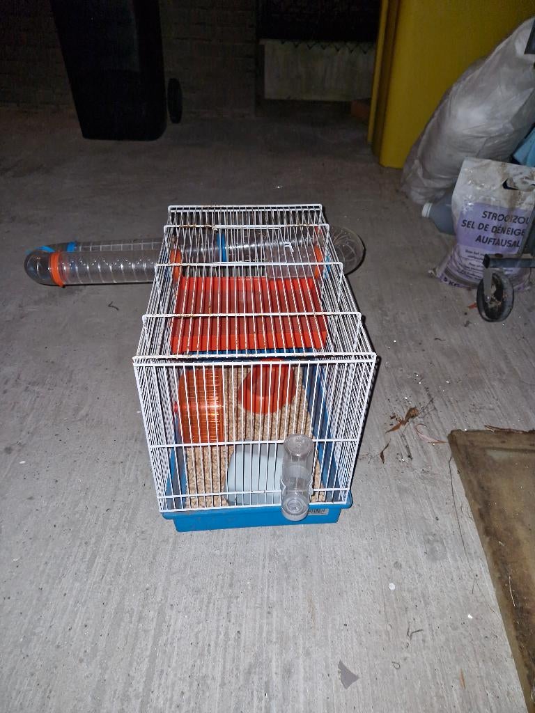Cage pour hamsters, Animaux & Accessoires, Enlèvement, Utilisé, Cage, Hamster