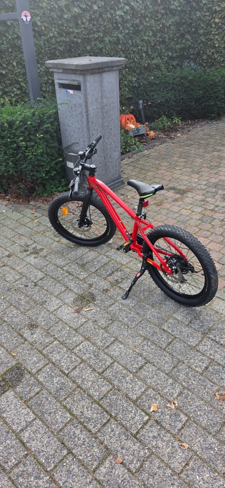 fiets 20 inch rockrider mountainbike
Mountainbike voor kinde, Fietsen en Brommers, Ophalen, Gebruikt