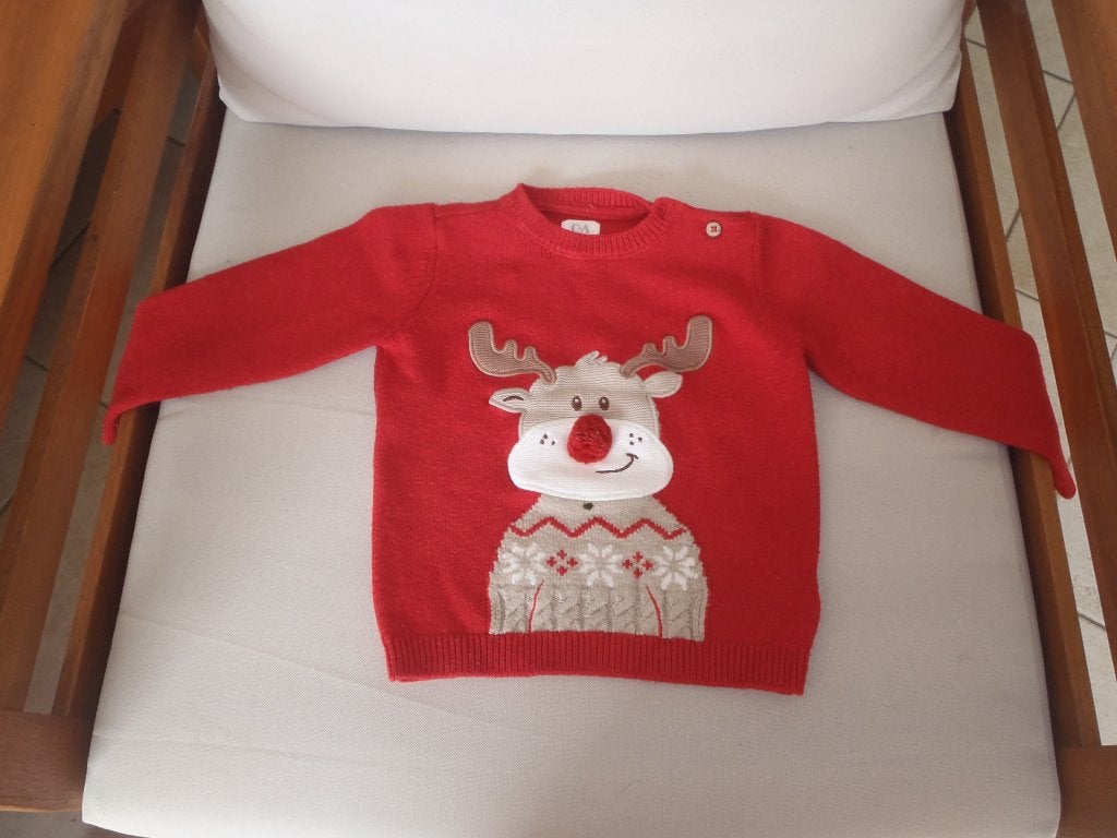 trui maat 80, Kinderen en Baby's, Ophalen of Verzenden, Zo goed als nieuw, Jongetje, Truitje of Vestje