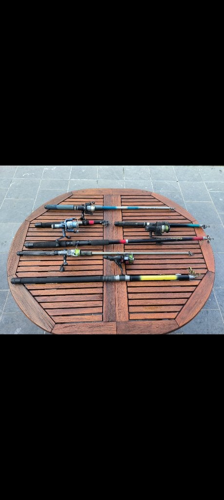 Lot de 6 cannes à pêche, Enlèvement, Utilisé, Canne à pêche complète
