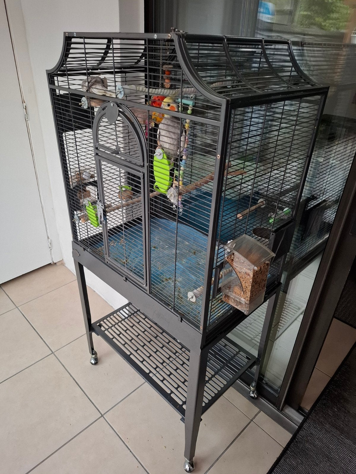 valkparkieten met kooi, Dieren en Toebehoren, Vogels | Hokken en Kooien, Ophalen