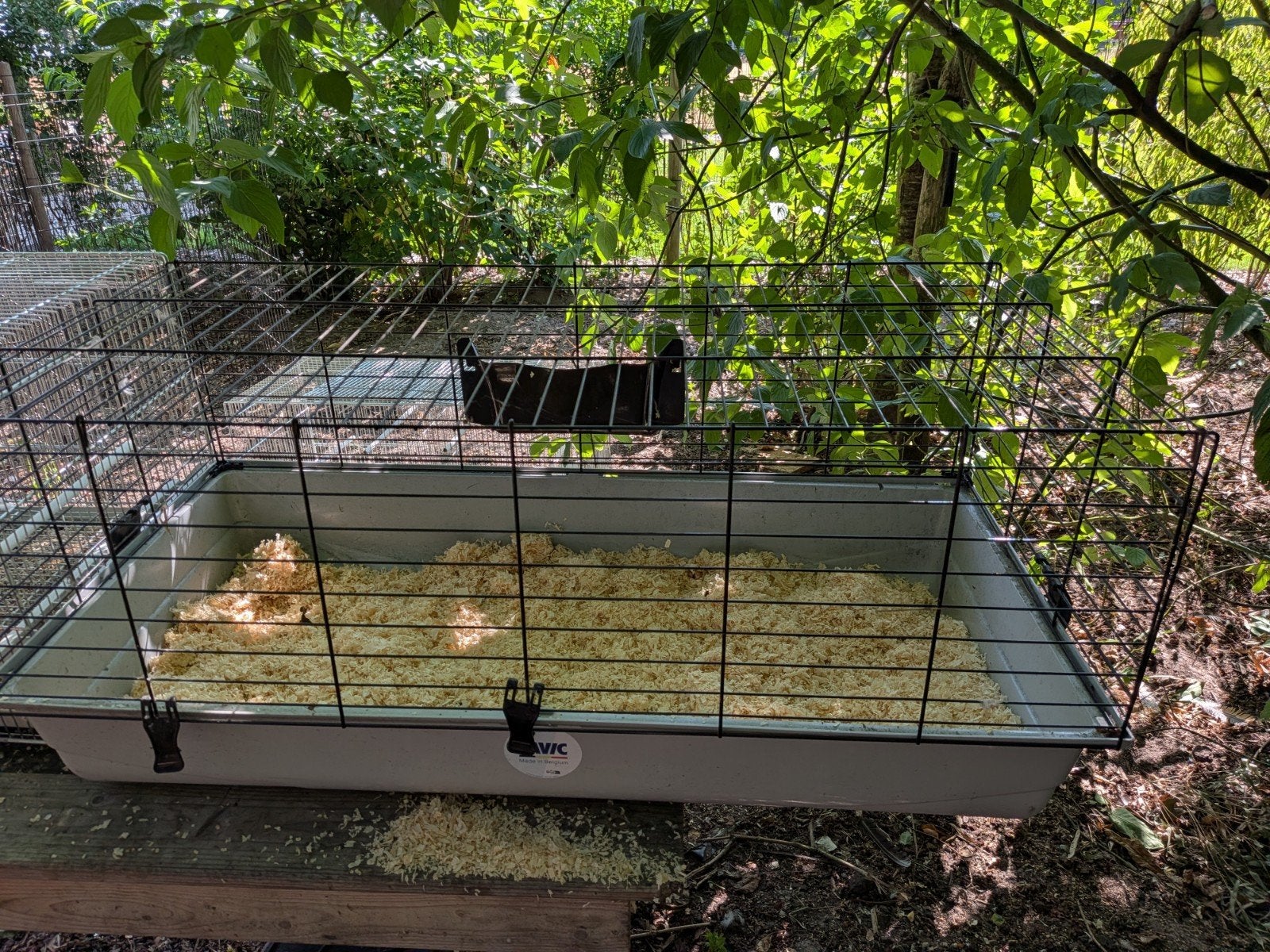 Cavia of knaagdieren kooi nooit gebruikt, Ophalen of Verzenden, Kooi, Cavia