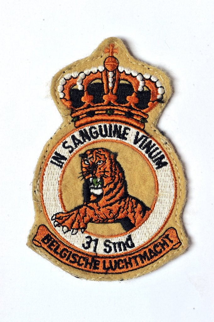 31 Sqn - Crest patch (2), Collections, Envoi, Armée de l'air, Emblème ou Badge
