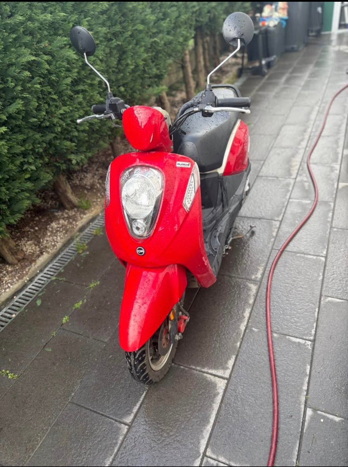 Sym mio, Enlèvement, Comme neuf, Mio