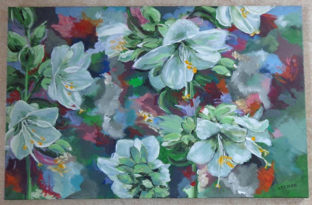 HERMAN / BLOEMENWEELDE / OLIEVERF / 65x100cm / SIG / CHASSIS, Enlèvement