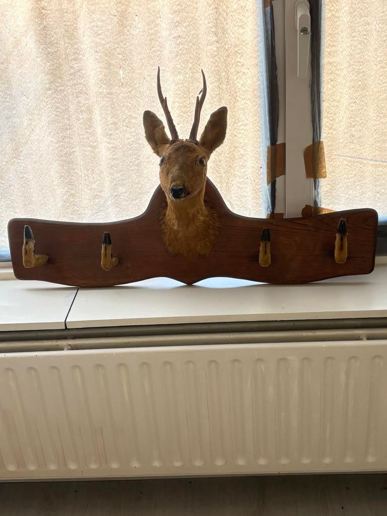 herten kapstok, Ophalen, Gebruikt, Wandkapstok