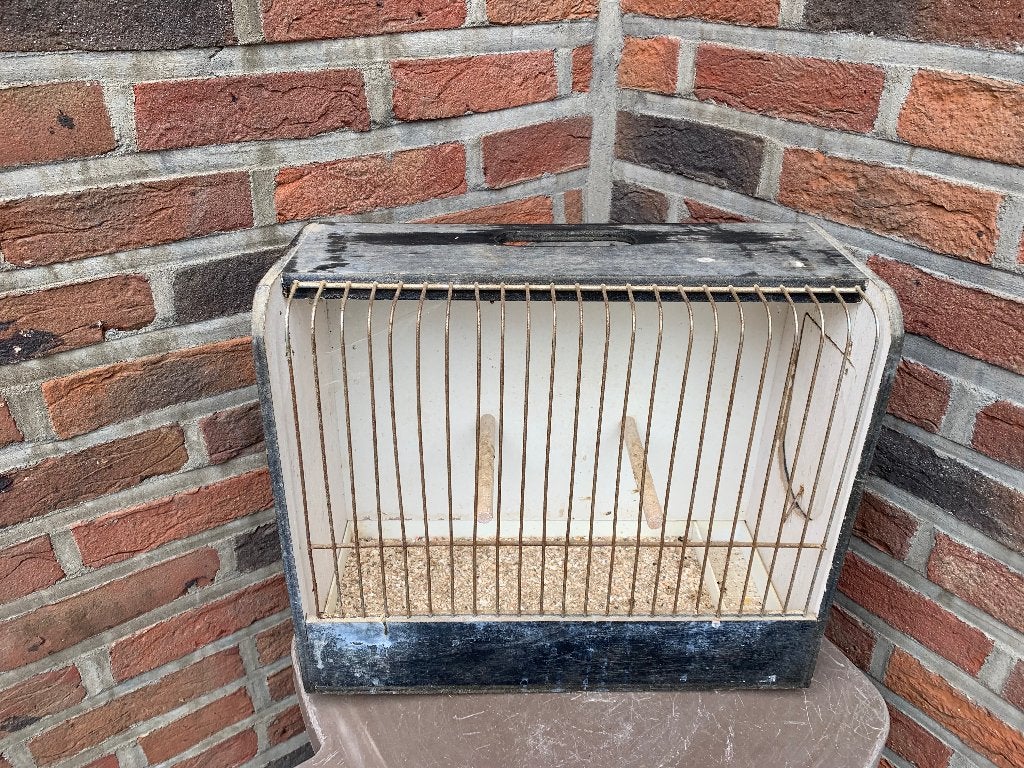 Vogelkooi tentoonstellingskooi, Dieren en Toebehoren, Ophalen, Gebruikt, Vogelkooi